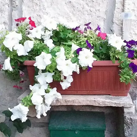 Gostinjska kuća Andjelka *